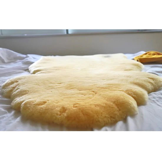 Medical Sheepskin 2' X 3' Bed Pad, Single (101)