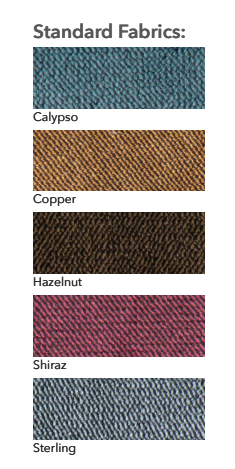 LIFT CHAIR: Cloud Power Lift Chair Recliner by Golden Technologies