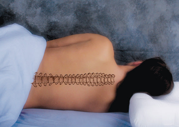 Standard Support Pillow - Standard Size