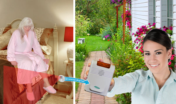 Economy CordLess® Monitor and Motion Sensor Alert System - 433-EC with 433-MS System